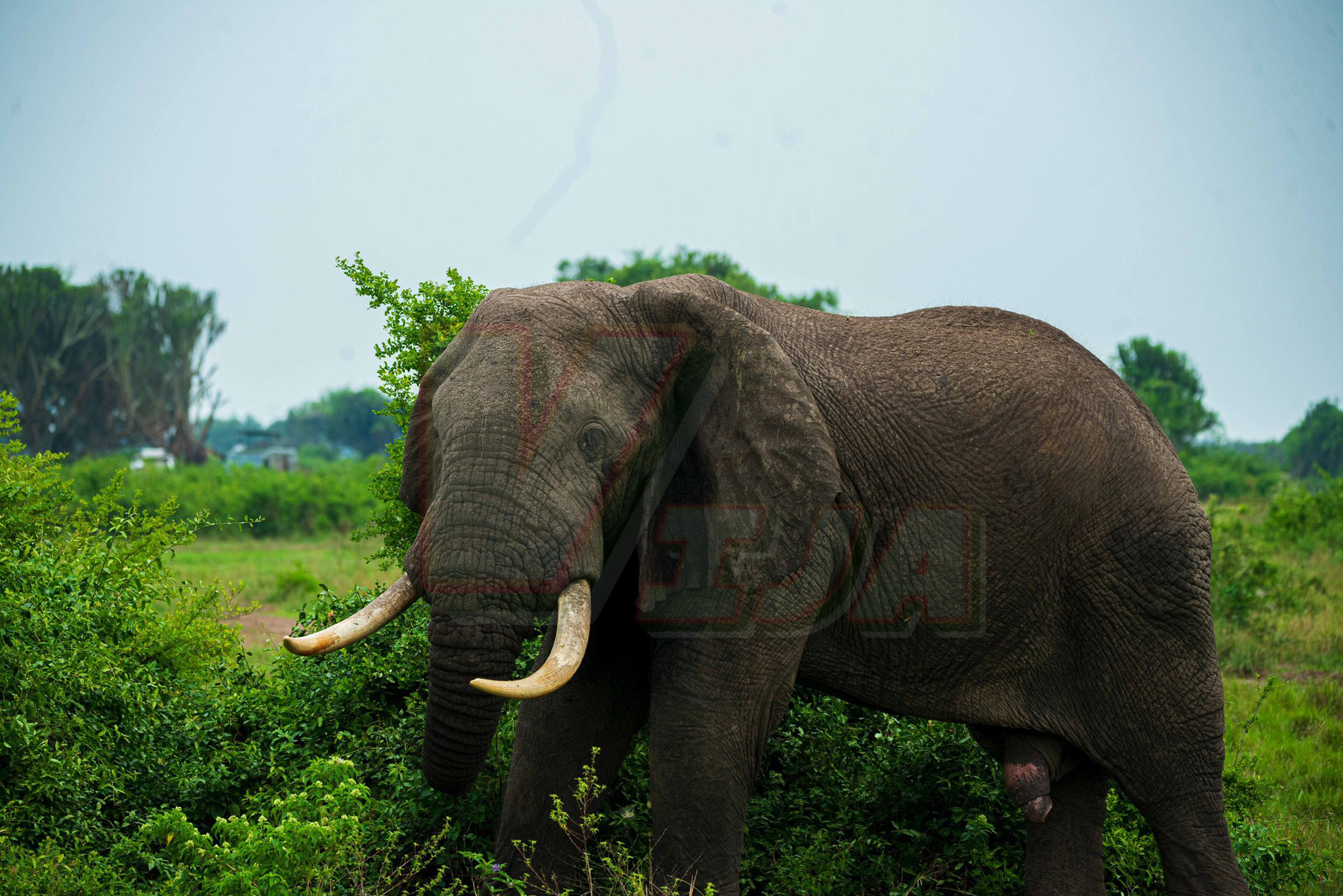 Rwanda Discovery