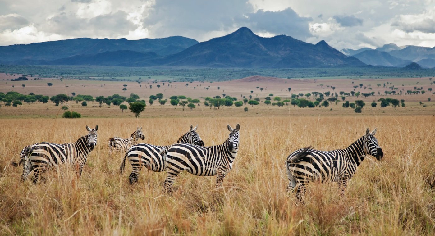 Kidepo National Park