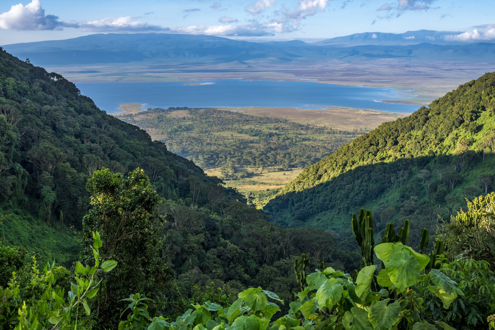 Ngorongoro Conservation Park